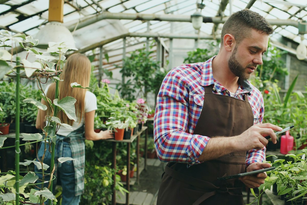 How to Choose the Best Online Store for Your Home and Garden Needs