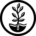 True Leaf Market