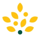 Morrisons Grocery