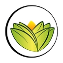 theayurvedaexperience.fr
